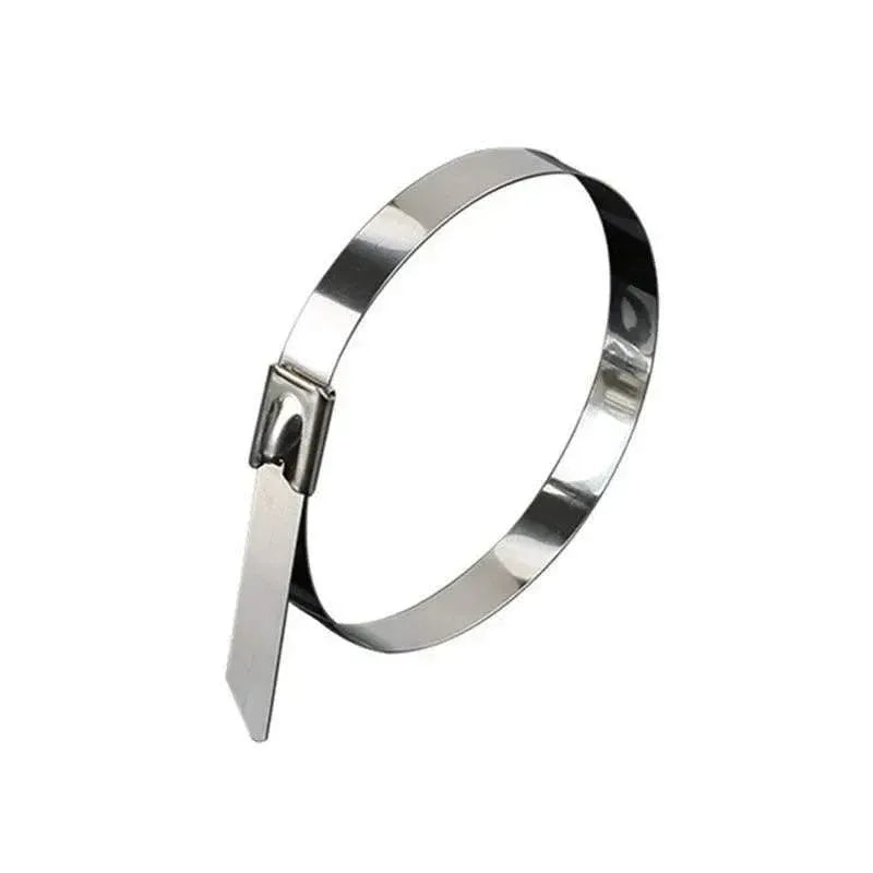 100x Stainless Steel Cable Ties SS304 Marine Grade Zip Strap Locking Wrap 100-800mm - 4.6*500mm